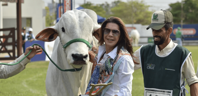 Mônica Marchett: impulsionando inovação e sustentabilidade no agronegócio